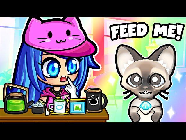 I Opened A Cat Cafe in Pekoe!