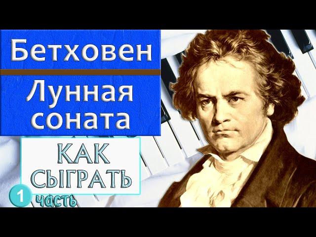 ЛУННАЯ СОНАТА НА ПИАНИНО урок №1 Как сыграть на фортепиано Бетховен Moonlight sonata красивая музыка