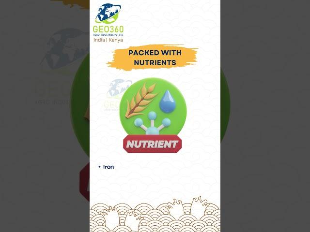 Benefits Of Matta Rice | Geo360 Agro Industries Private Limited | #rice #geo360agro #export