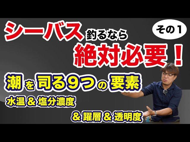 【完全解説】潮を司る9つの要素　その1【潮が読めるようになる】