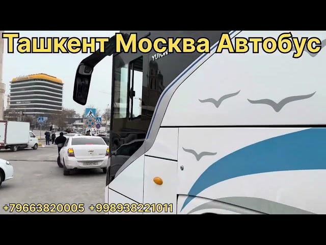 ТАШКЕНТ МОСКВА АВТОБУС !!! москва-ташкент автобус!!!