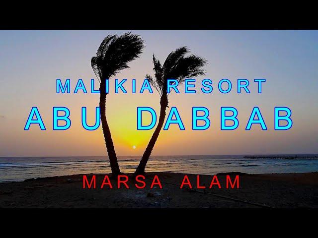 MALIKIA Resort Abu Dabbab Hotel. Marsa Alam, Egypt