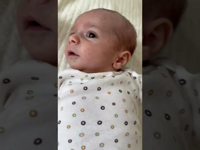 Learning About Shapes and Sounds with Mommy