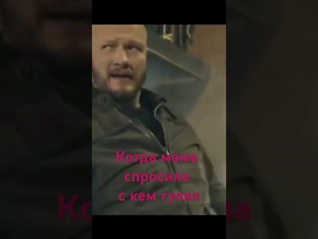 Пёс мем