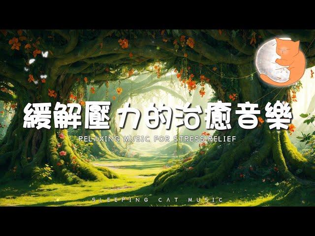 【100%無廣告輕音樂】緩解壓力的治癒音樂丨消除負面情緒, 淨化心靈, 壓力焦慮瞬間消除丨1 hours relaxing music for  STRESS RELIEF~