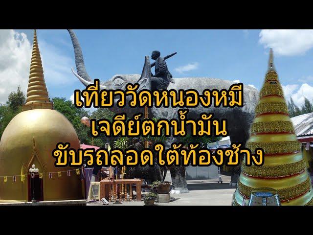 เที่ยวสวนฝึ้ง วัดหนองหมี เจดีย์ตกน้ำมัน ขับรถลอดท้องช้าง ราชบุรีใกล้บ้าน