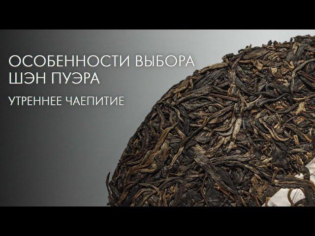 Шэн Пуэр. Как Выбрать? | Art of Tea, китайский чай