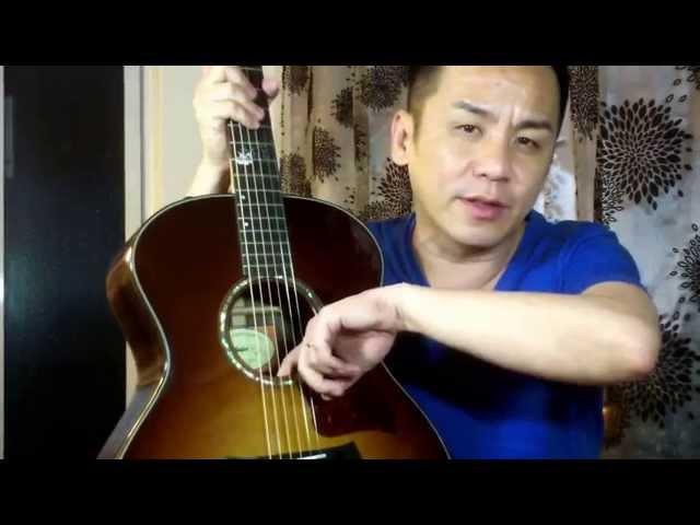 Taylor SCCSM Steven Curtis Chapman Signature Model Guitar Review in Singapore