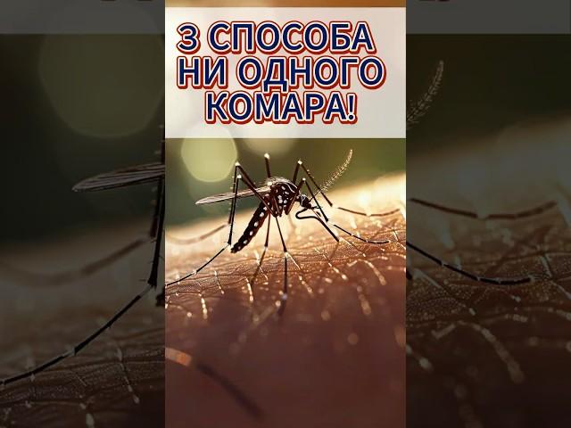  Комары БЕЗ химии ? 3 СПОСОБА 2025 года, которые РАБОТАЮТ!  ПРОВЕРЕНО