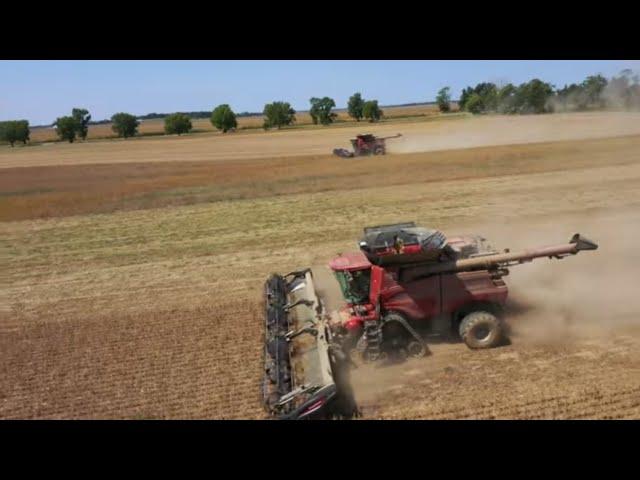 Record Corn Yields In Illinois.  2024 Harvest Days 5-7 Season 5 Episode 26