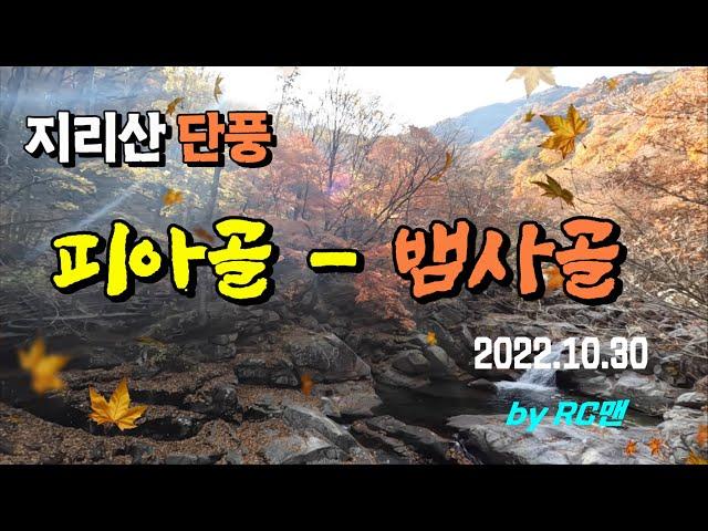 [RC맨]  지리산 단풍은 어디가 더 좋을까? -  피아골?  뱀사골?