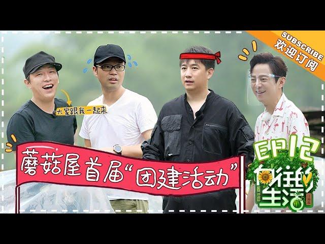 【ENG SUB】《向往的生活2》第12期 黄渤尬舞花式“洗脑” 全场！何炅自曝拍戏怒摔对讲机？ Back to field S2 EP12【芒果TV生活风尚频道】