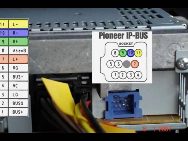 Pioneer car audio IP bus pinuot