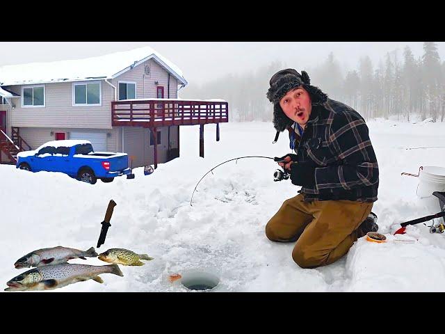 I bought a MOUNTAIN FISHING FARM! Ice Fishing for TROUT (Catch & Cook)