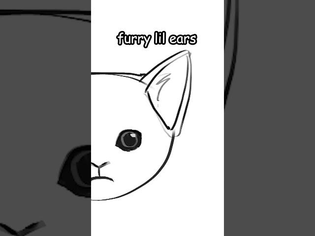 how to draw JUICY kitten