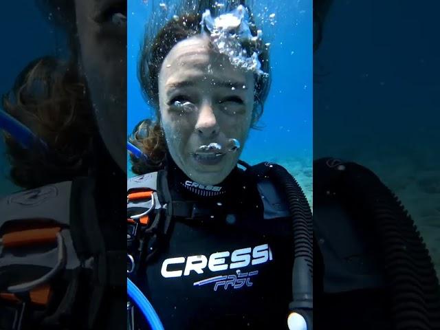 females scuba divers talking underwater