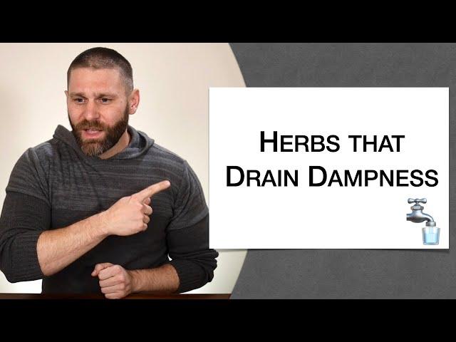  Herbology 1 Review - Herbs that Drain Dampness (Extended Live Lecture)