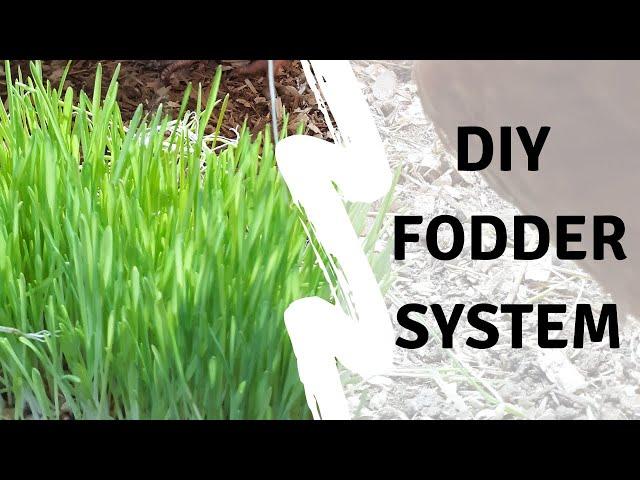 Grow Your Own Animal Feed (Luke, I Am Not Your Fodder)