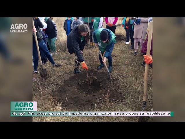 „Plantăm” fapte bune – AGRO TV News