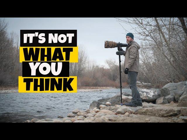 Bird Photography Tips. Everything you need to know in one video. (sort of)