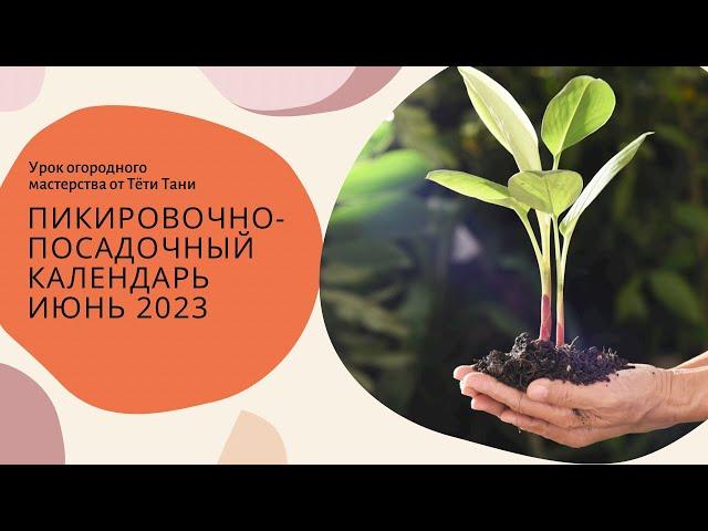 872. Лунный календарь ТРИГОНОВ. Июнь 2023 г. посадка , пересадка.