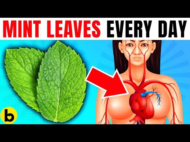 10 POWERFUL Reasons Why You Need To Have Mint Leaves Every Day