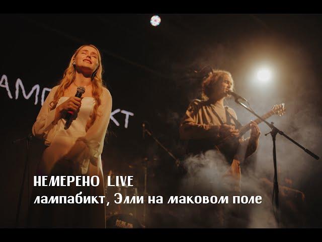 лампабикт, Элли на маковом поле - немерено [live]