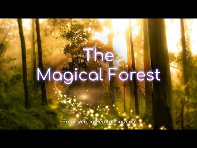 The Magical Forest - Guided Meditation Visualization For Deep Relaxation & De-Stressing