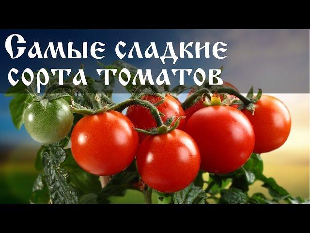 Самые сладкие сорта томатов