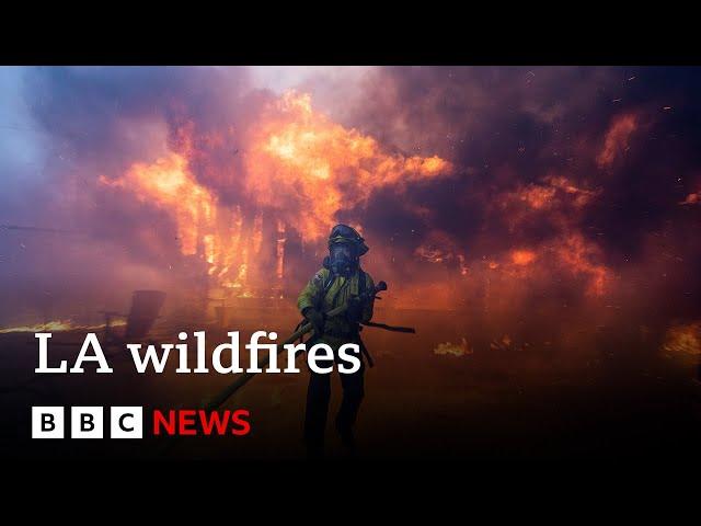 Thousands told to abandon Los Angeles homes as three wildfires rip through suburbs | BBC News