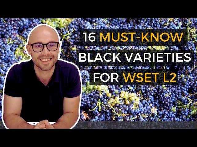 Ace Your WSET Level 2 in Wines Exam: 16 MUST - KNOW Black Grape Varieties