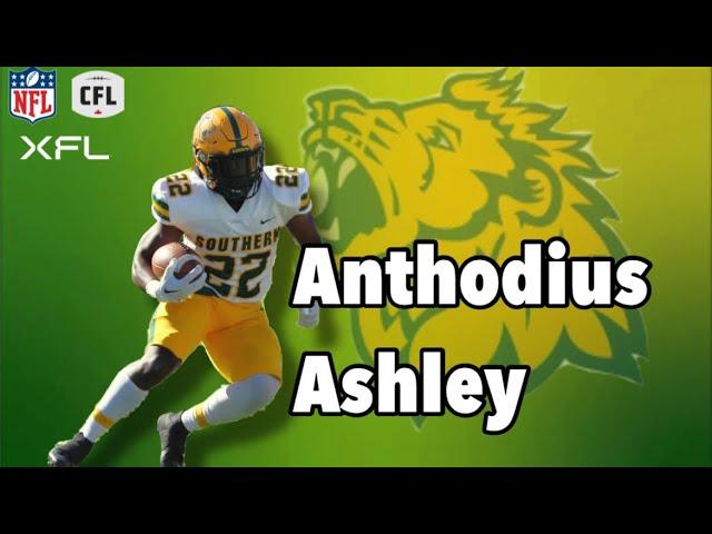 Anthodius Ashley, RB, Missouri Southern State University | 2024 NFL Draft Highlights