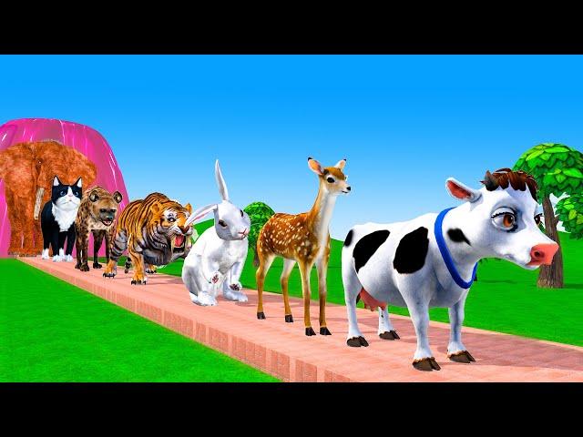 Paint & Animals Cow,Gorilla,Elephant,Lion,Tiger,Dinosaur, Fountain Crossing Transformation Cartoon