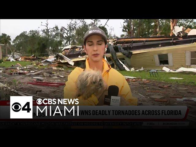 Dog found in rubble at Florida mobile community after Hurricane Milton swept through