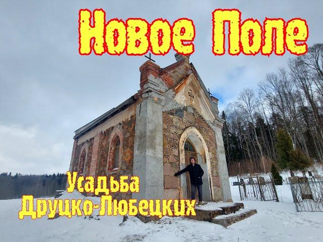 Усадьба Друцких-Любецких в Новом Поле.