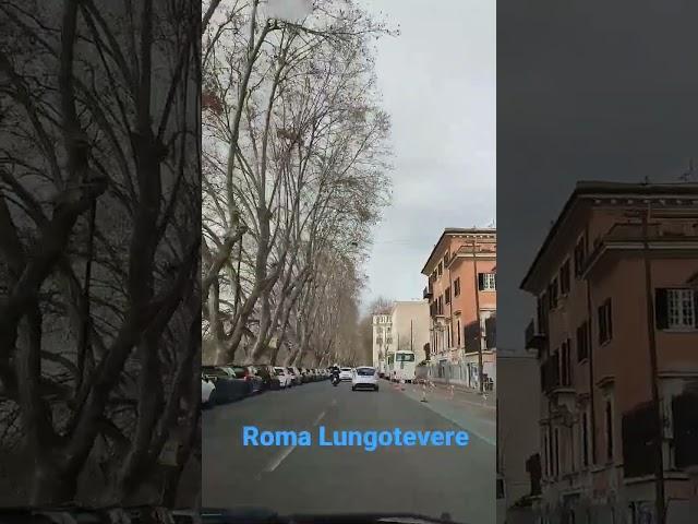 Roma Lungotevere #roma #italy #viralshorts #trending #viralvideo #viral #tourism #god #google #artis