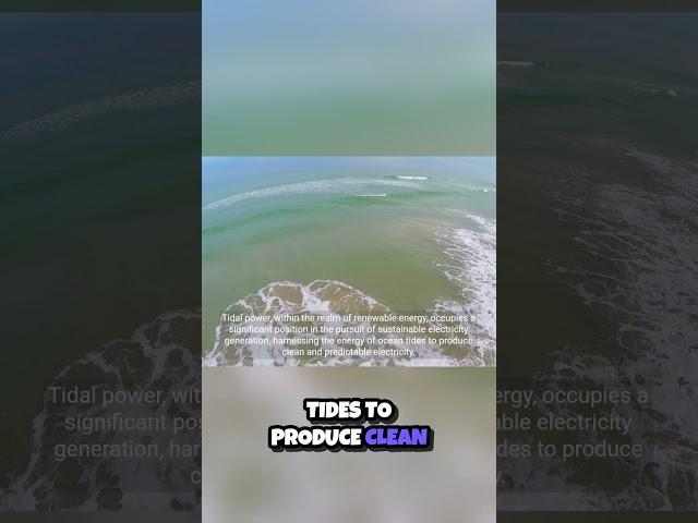Ride the Waves  Unleashing the Power of Tides for Clean Energy 