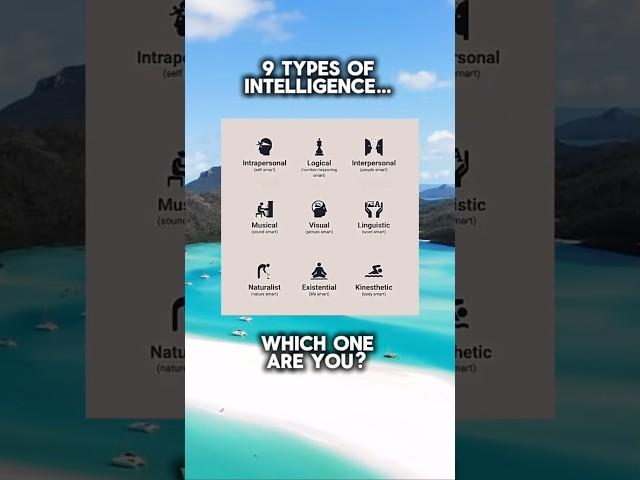 Which one are you? #trending #viral #intelligence #chess #smart