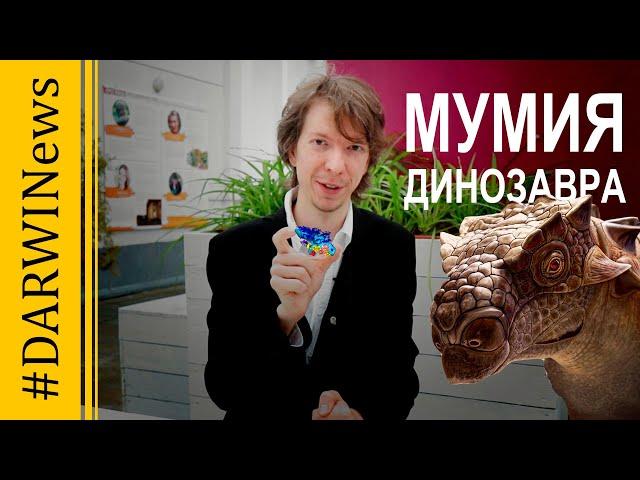 Исследованы мозг и внутренние органы динозавра. Ярослав Попов #DARWINews