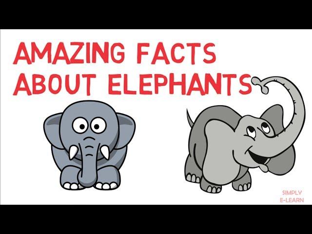 Amazing facts about elephants - trivia - animal kingdom for kids - Simply E-learn kids