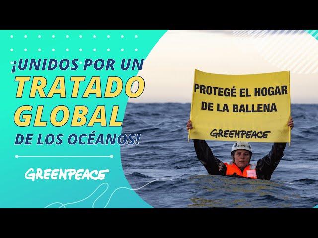 ¡Unidos por un Tratado Global de los Océanos! - Greenpeace Argentina