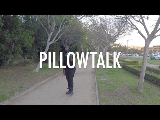 Zayn - PILLOWTALK - Violin Cover by DSharp