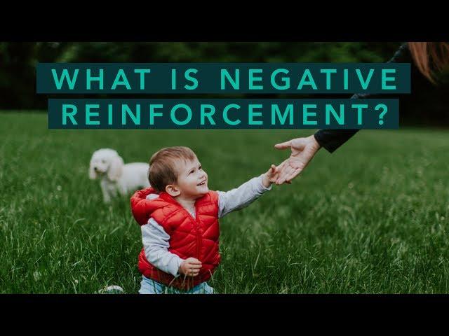 What is Negative Reinforcement? | Care.com