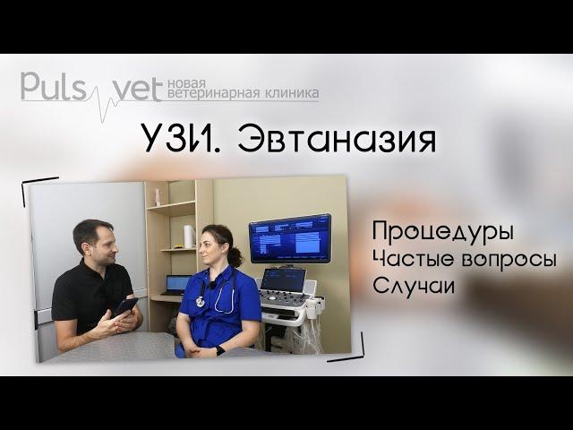 Врач УЗД Анастасия Кузьмина отвечает на вопросы