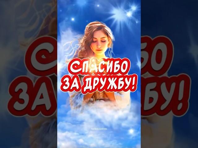 СПАСИБО ЗА ДРУЖБУ! С Днем Дружбыкрасивое поздравление от души