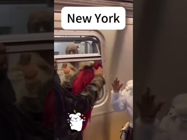 Aka NoFunnyShxtTv   Only in nyc 