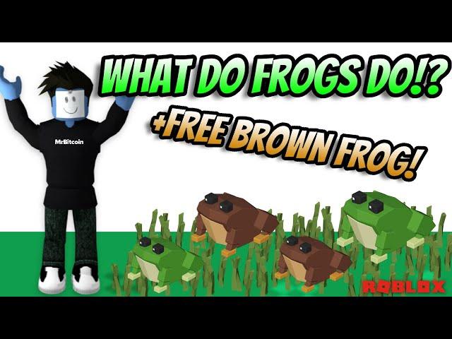 Roblox Islands - Frog Update - Testing Frogs - Free Brown Frog!