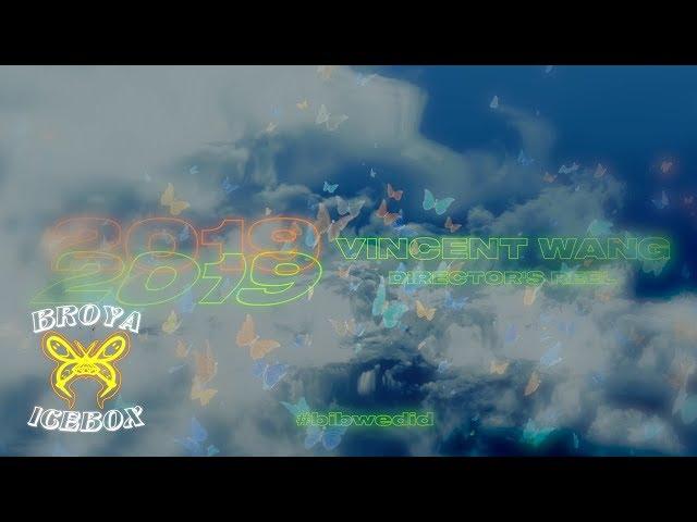 VincentWan9 | 2019 Music Video Reel