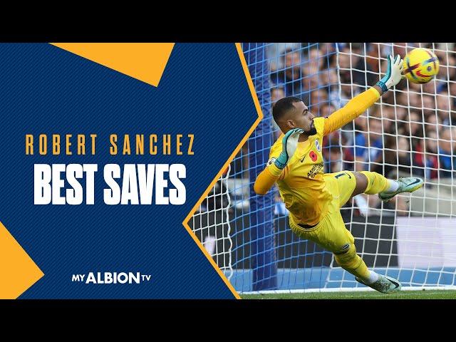 Robert Sanchez BEST SAVES From His Albion Career