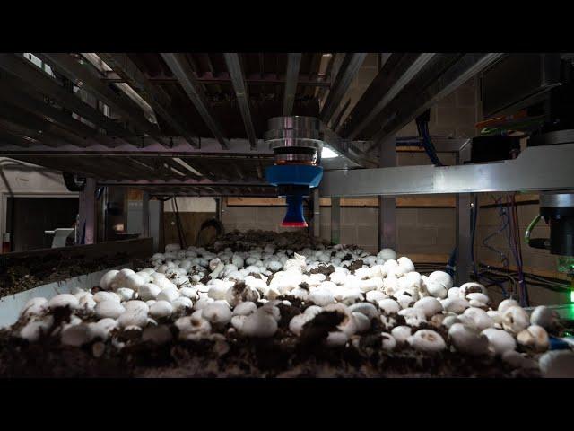 British Columbia, Agritech: TechBrew Robotics